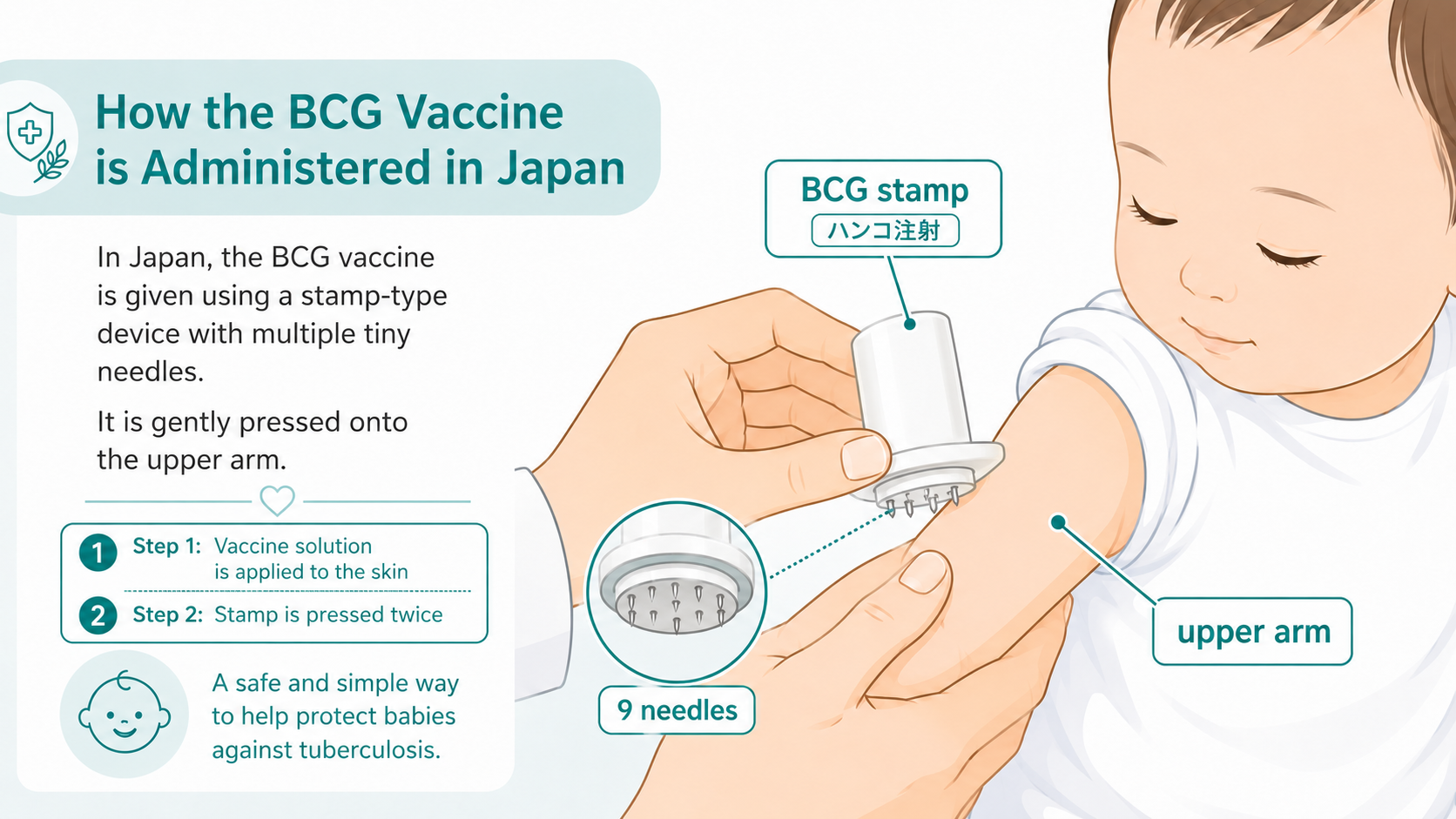 Diagram showing how the BCG stamp device is pressed onto a baby's upper arm