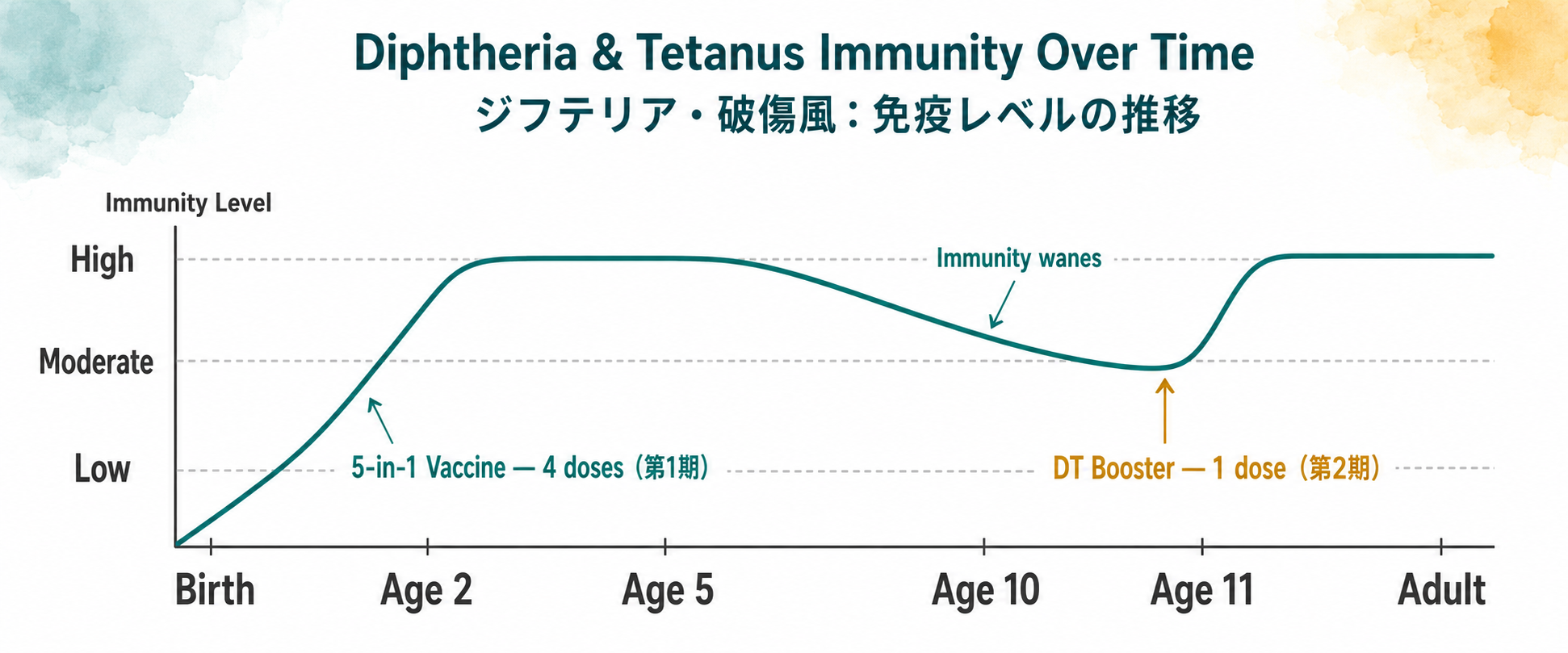 Line graph showing diphtheria and tetanus immunity levels over time: rising after the primary series at age 0–2, waning by age 10–11, then restored by the DT booster at age 11