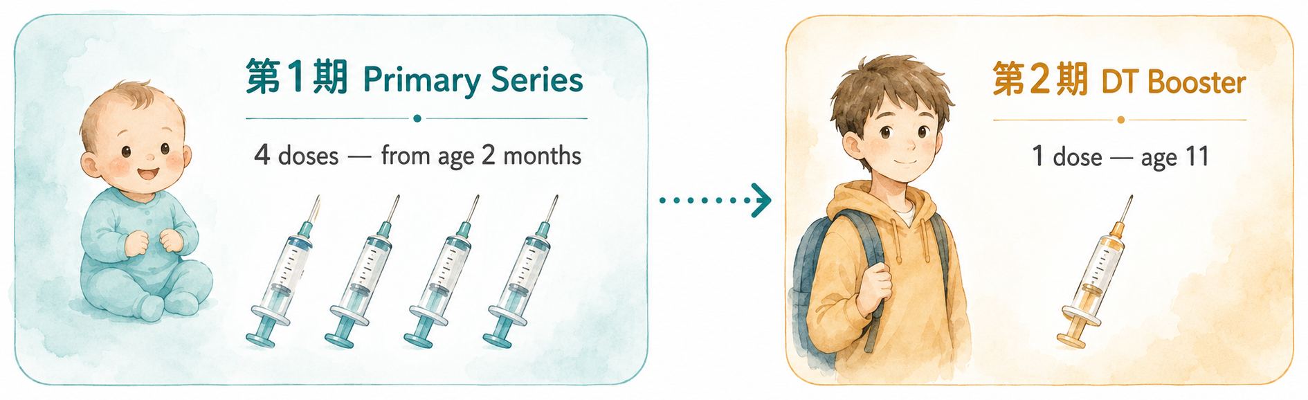 Timeline showing 第1期 primary series (4 doses of 5-in-1 vaccine from age 2 months to approximately age 2) followed by the DT 第2期 booster at age 11