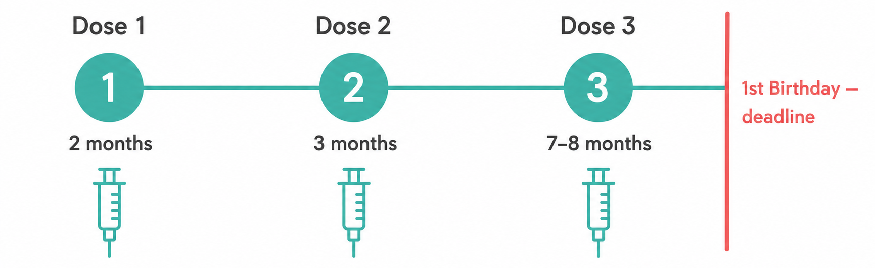 Hepatitis B vaccine schedule: 3 doses at 2 months, 3 months, and 7–8 months
