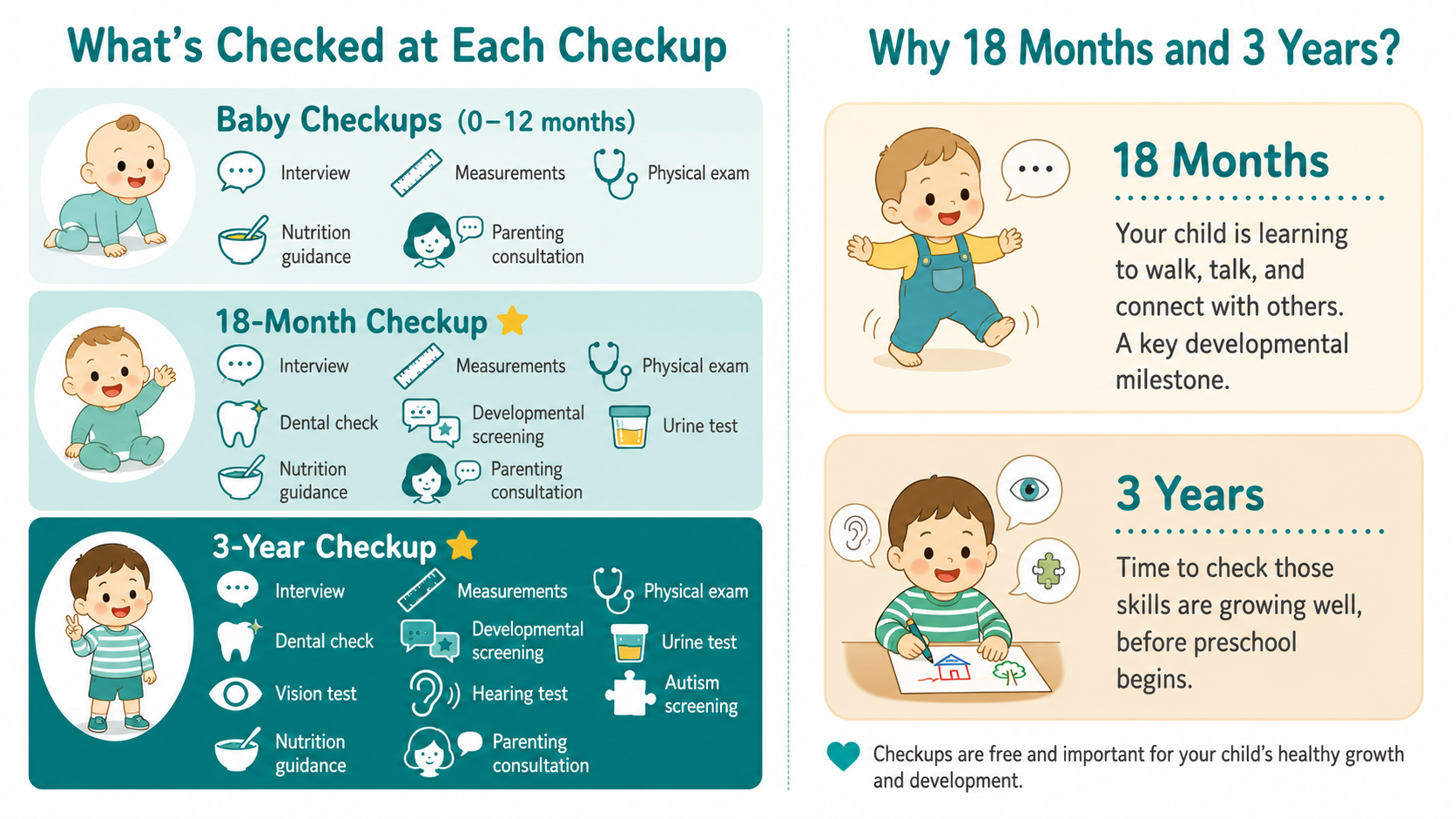 Infographic showing what is checked at each infant health checkup in Japan — baby checkups, 18-month checkup, and 3-year checkup