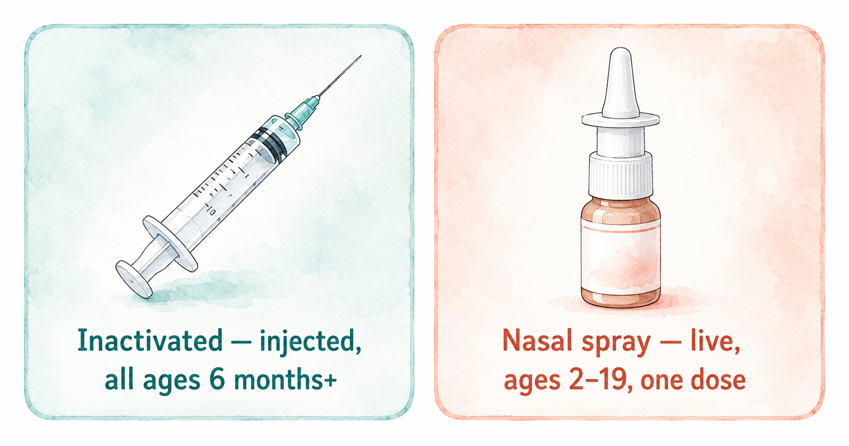 Comparison of injectable flu vaccine (inactivated) and nasal spray flu vaccine (live attenuated) available in Japan