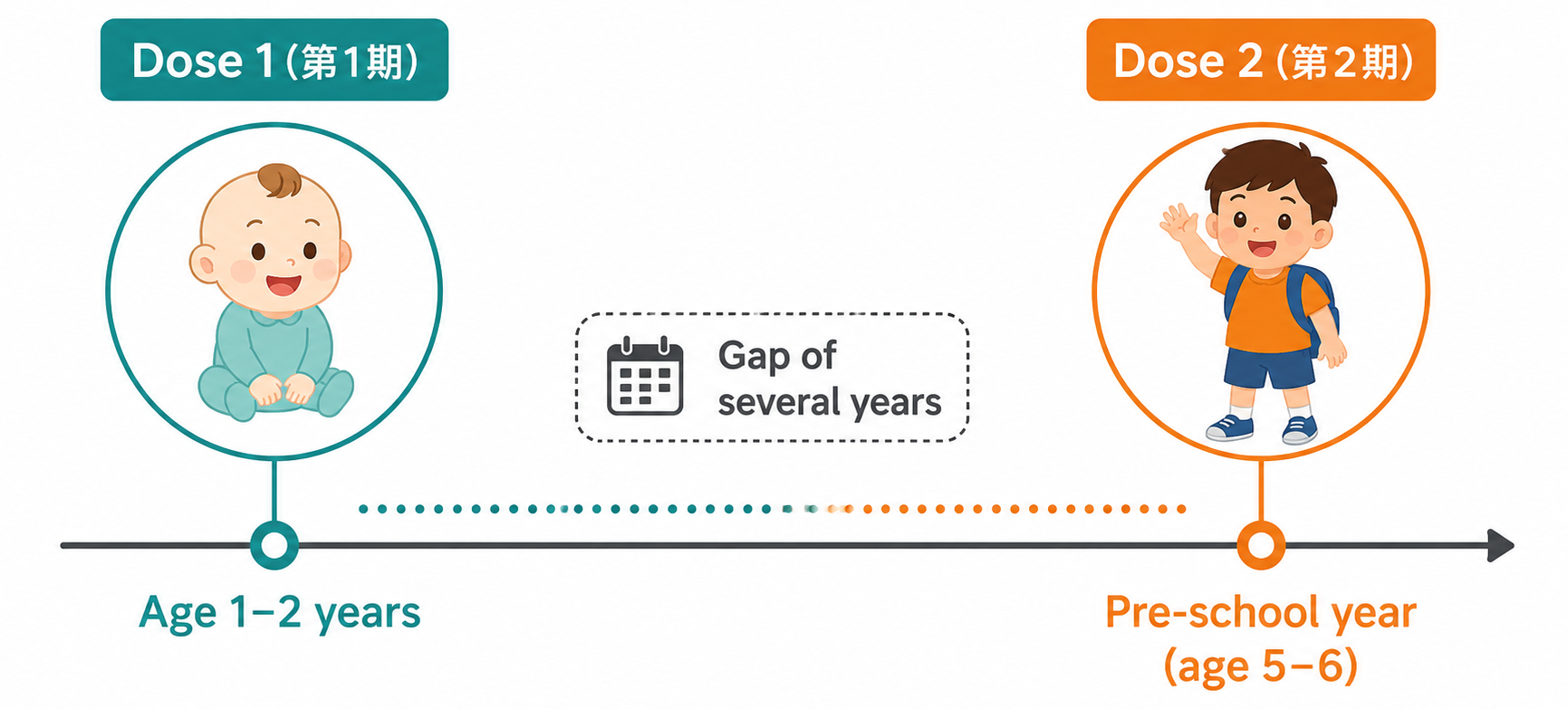 MR vaccine schedule: Dose 1 at age 1–2 years, Dose 2 in the pre-school year (age 5–6)