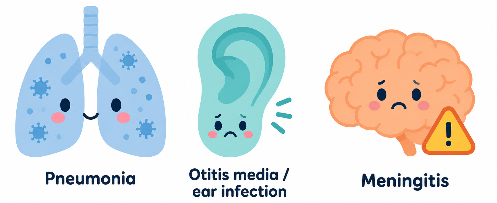 Pneumococcal disease complications: pneumonia, ear infection, and meningitis
