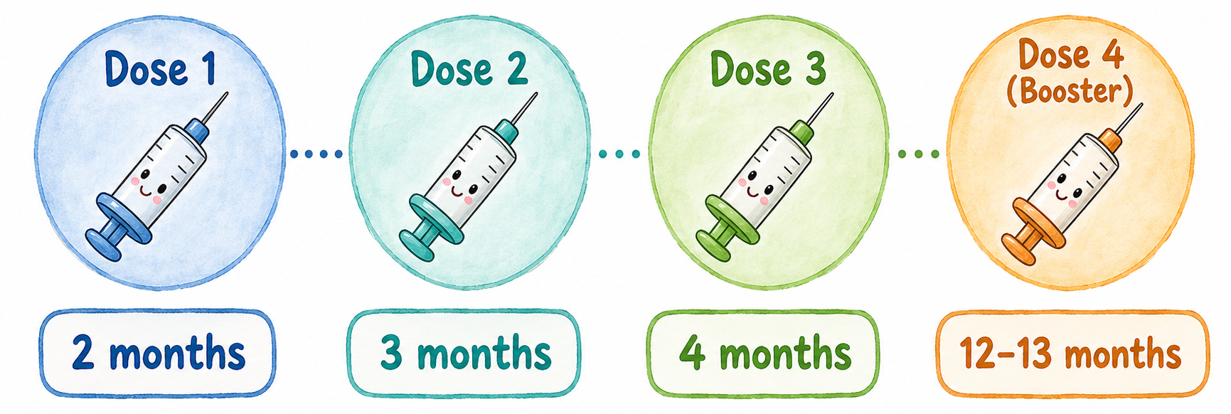 Pneumococcal vaccine schedule: 4 doses at 2 months, 3 months, 4 months, and 12–13 months