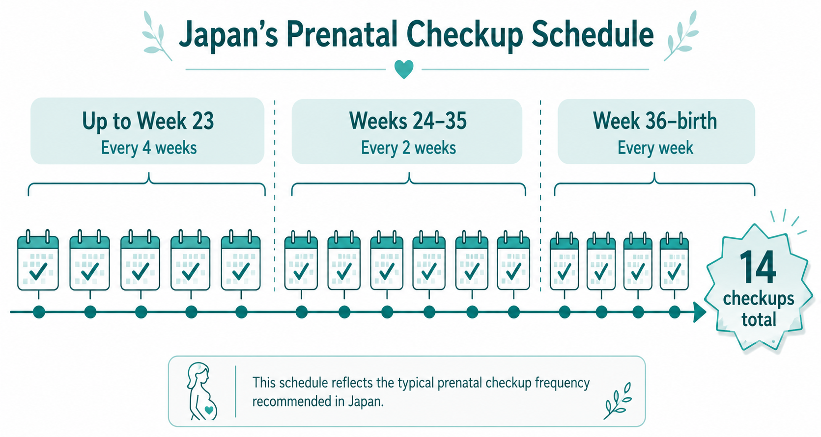 Timeline showing prenatal checkup frequency in Japan: every 4 weeks until week 23, every 2 weeks from week 24-35, and every week from week 36 onwards