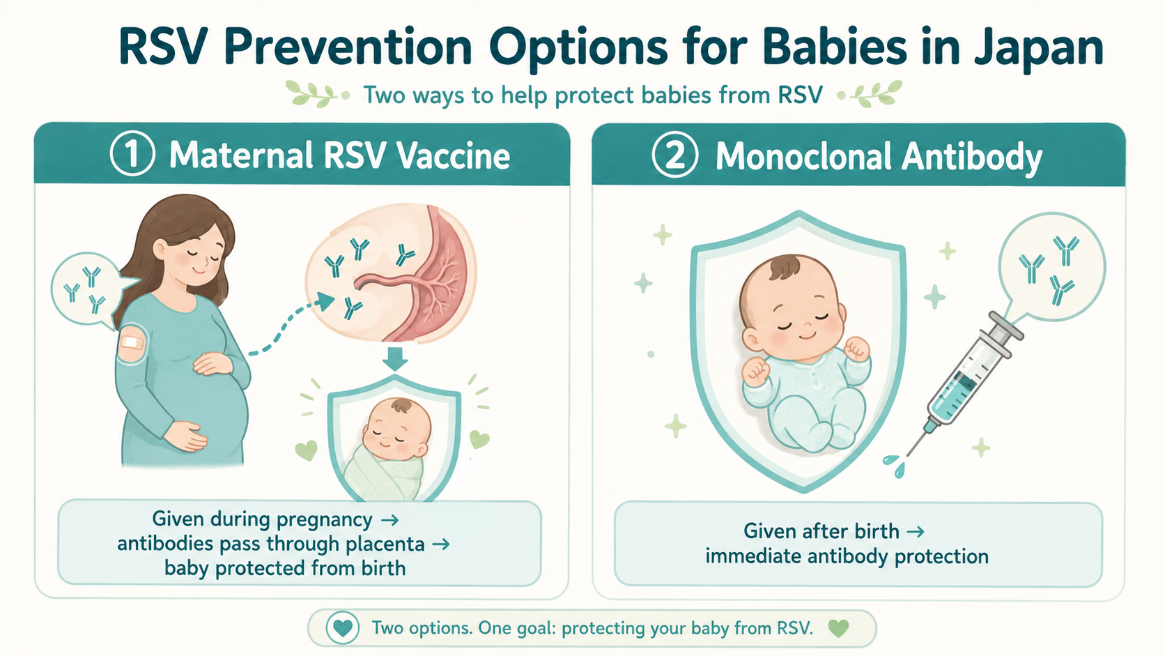 Infographic showing two RSV prevention options in Japan: maternal RSV vaccine during pregnancy and monoclonal antibody given after birth