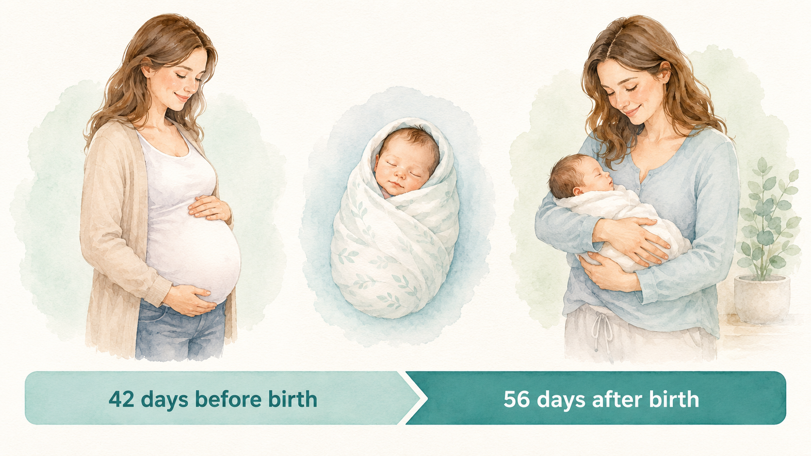 Watercolor timeline illustration showing a pregnant Western woman on the left, a birth event in the center, and a mother with a newborn on the right, with a colored bar showing the 42-day pre-birth and 56-day post-birth benefit period below